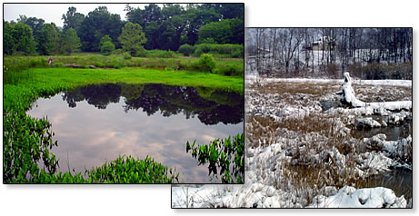 Created wetland - snow