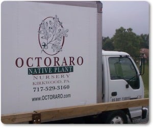 Octoraro Delivery Truck