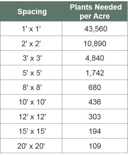 Tree Planting Spacing Chart