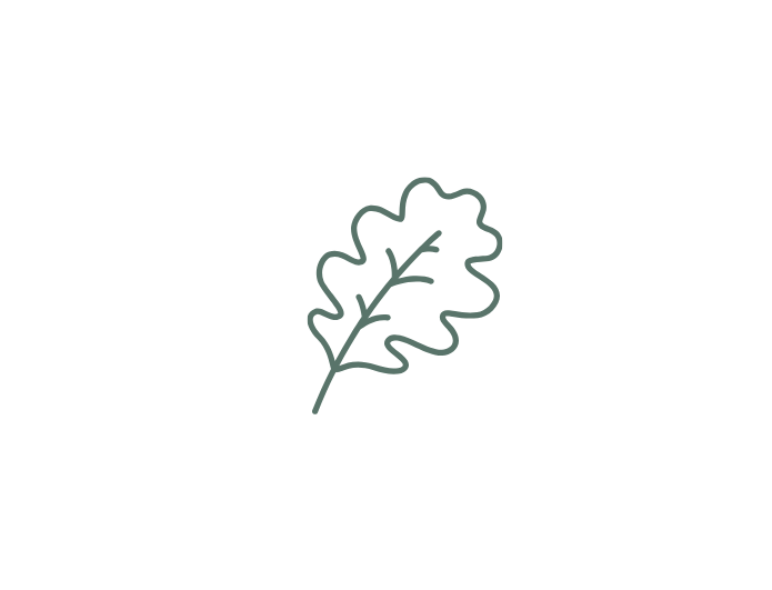 leaf_59746a_transparent